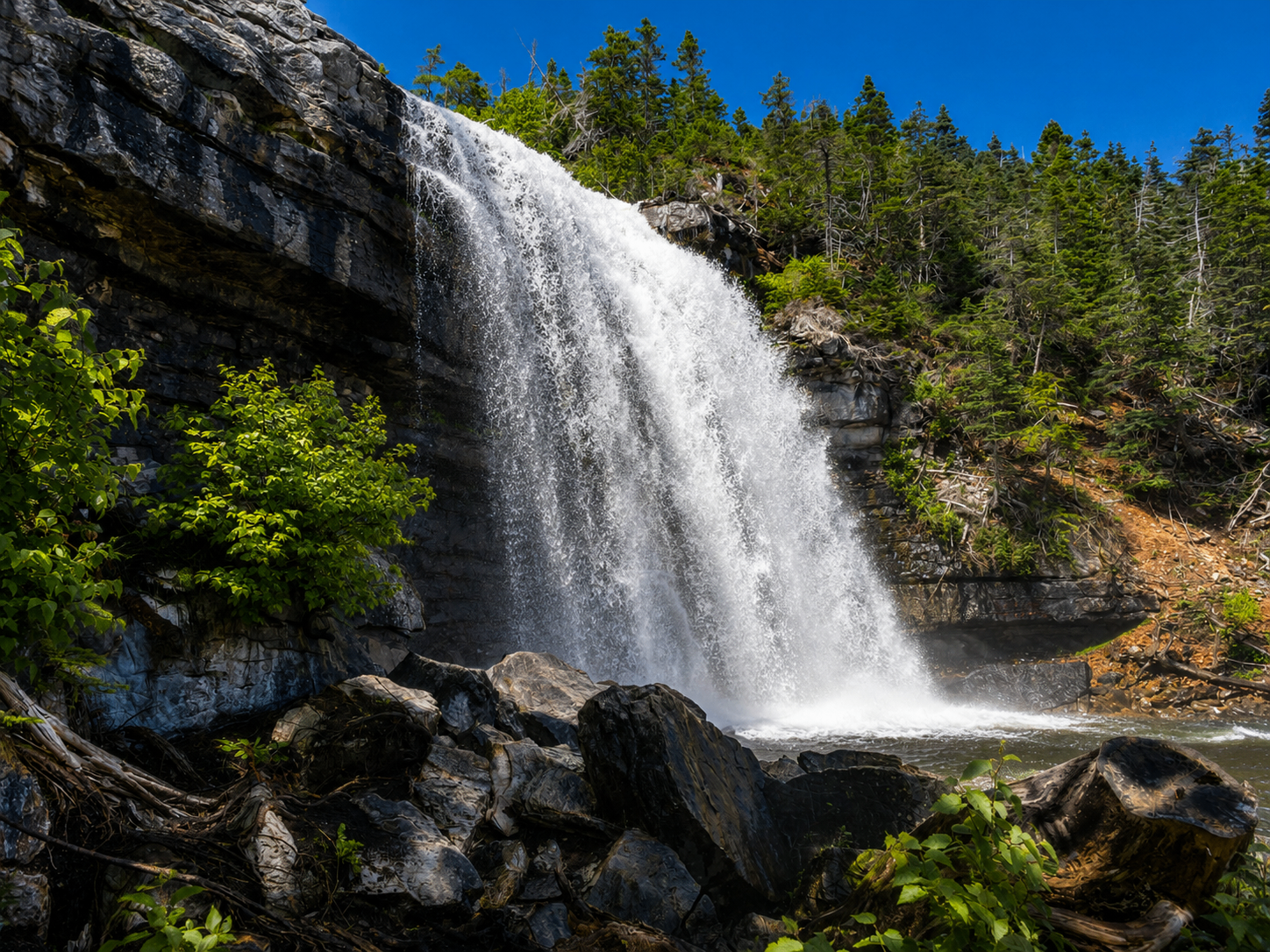 Beside Hidden Falls