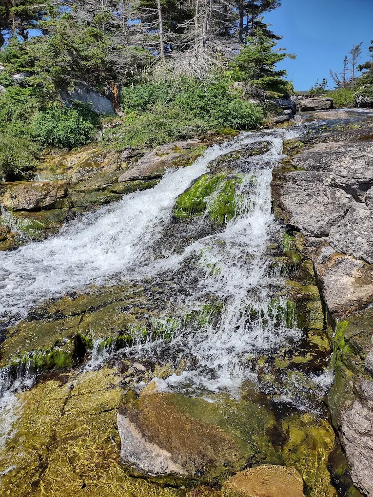 Hidden Cascades